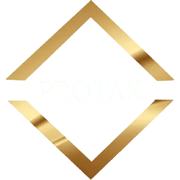 Professional Auditor Company logo
