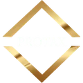 Professional Auditor Company Professional Auditor Company logo